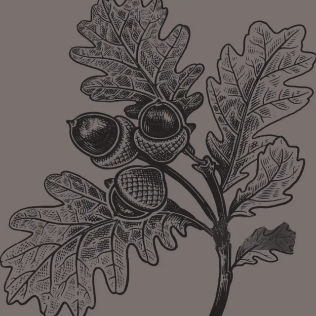 Estate <br>Management image