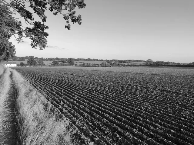 View All <br>Farms & Land image