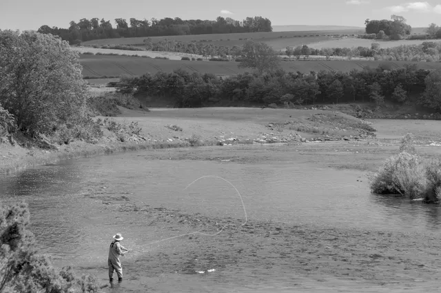 Estate Management image