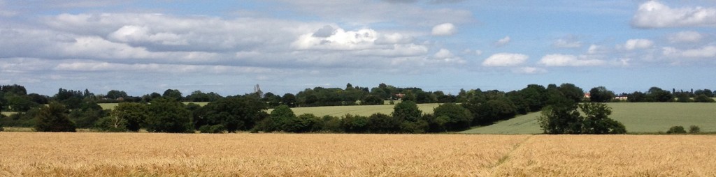 Barley Field - Property Auctions Framlingham, Suffolk
